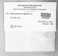 Image Associated With the Occurence